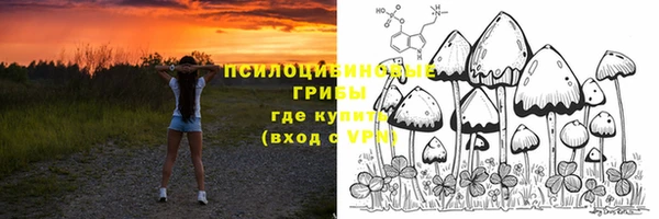 MDMA Богданович