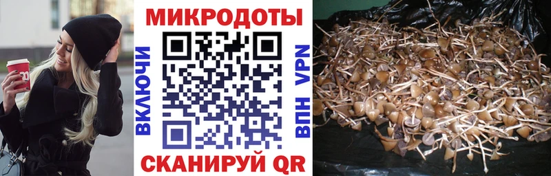 Псилоцибиновые грибы ЛСД  Купить закладки  Вязники 